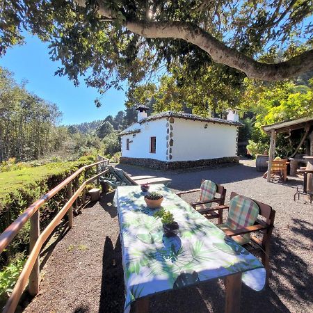 Finca Llano De La Cebolla Икод-де-лос-Винос Экстерьер фото