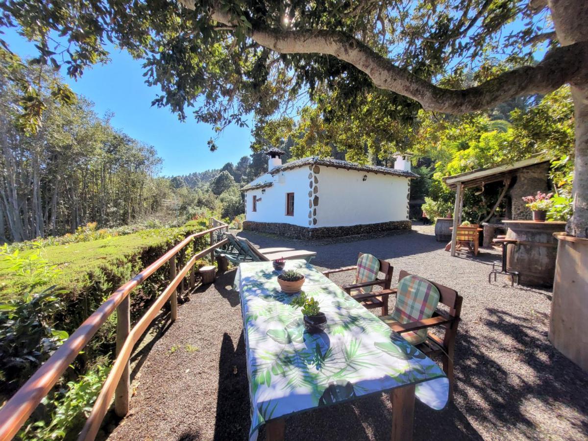 Finca Llano De La Cebolla Икод-де-лос-Винос Экстерьер фото
