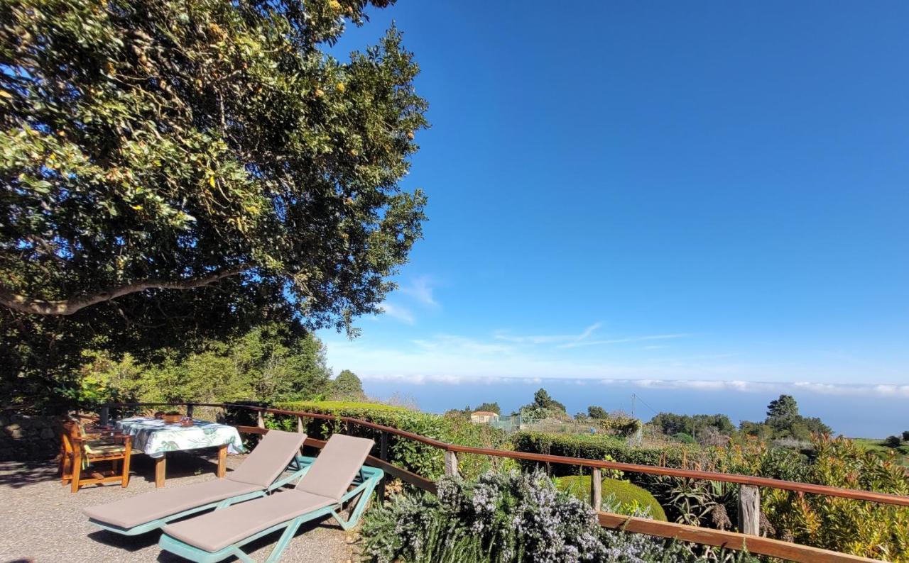 Finca Llano De La Cebolla Икод-де-лос-Винос Экстерьер фото