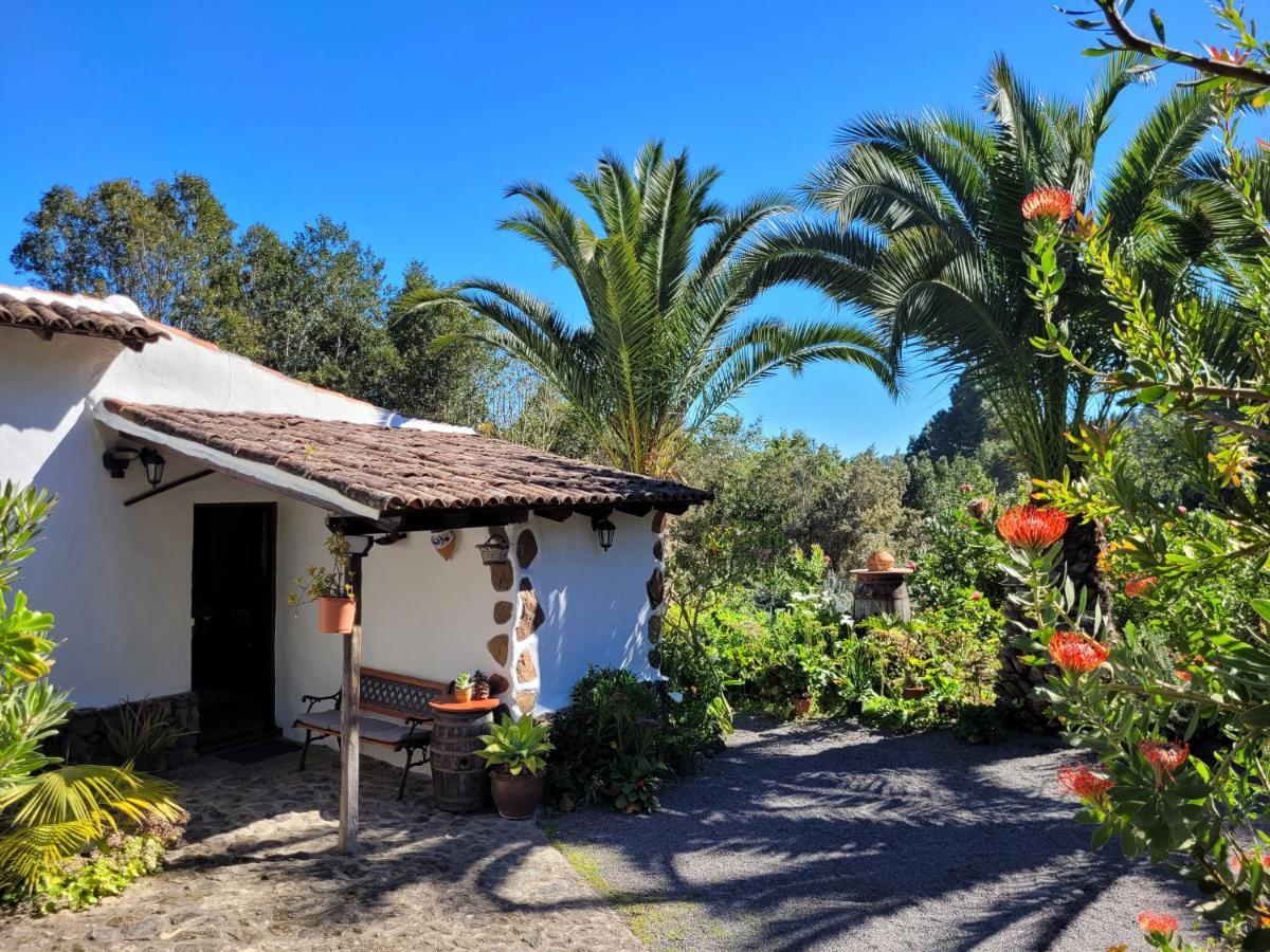 Finca Llano De La Cebolla Икод-де-лос-Винос Экстерьер фото