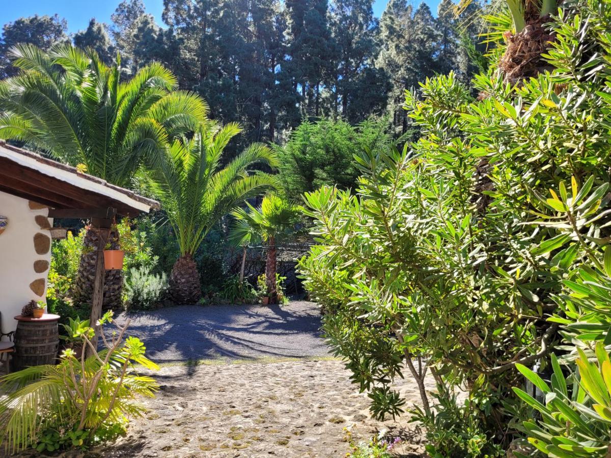 Finca Llano De La Cebolla Икод-де-лос-Винос Экстерьер фото