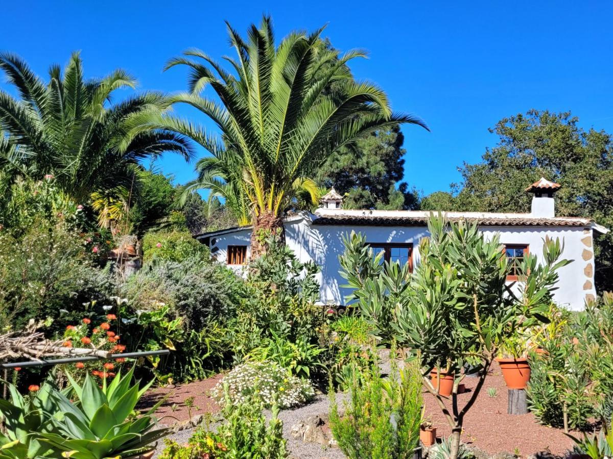 Finca Llano De La Cebolla Икод-де-лос-Винос Экстерьер фото