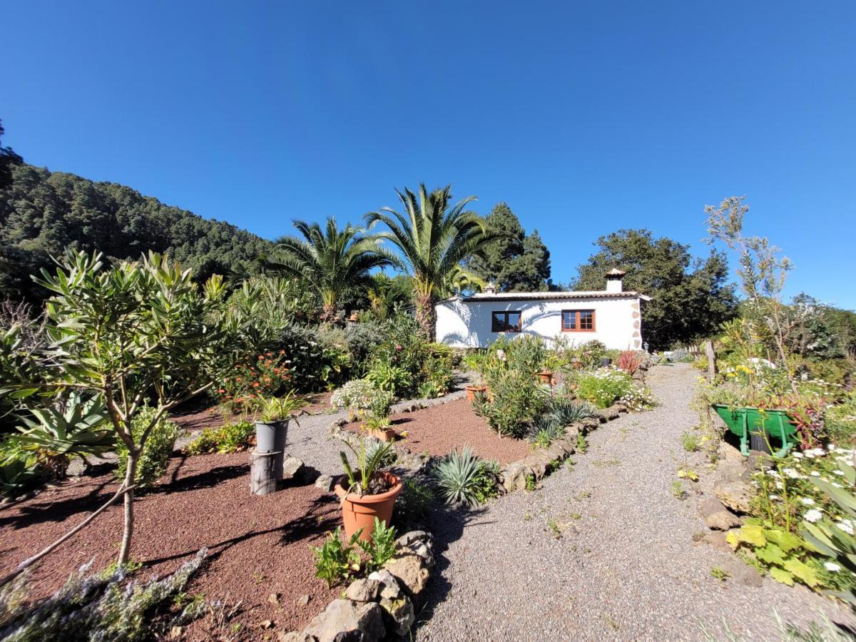 Finca Llano De La Cebolla Икод-де-лос-Винос Экстерьер фото