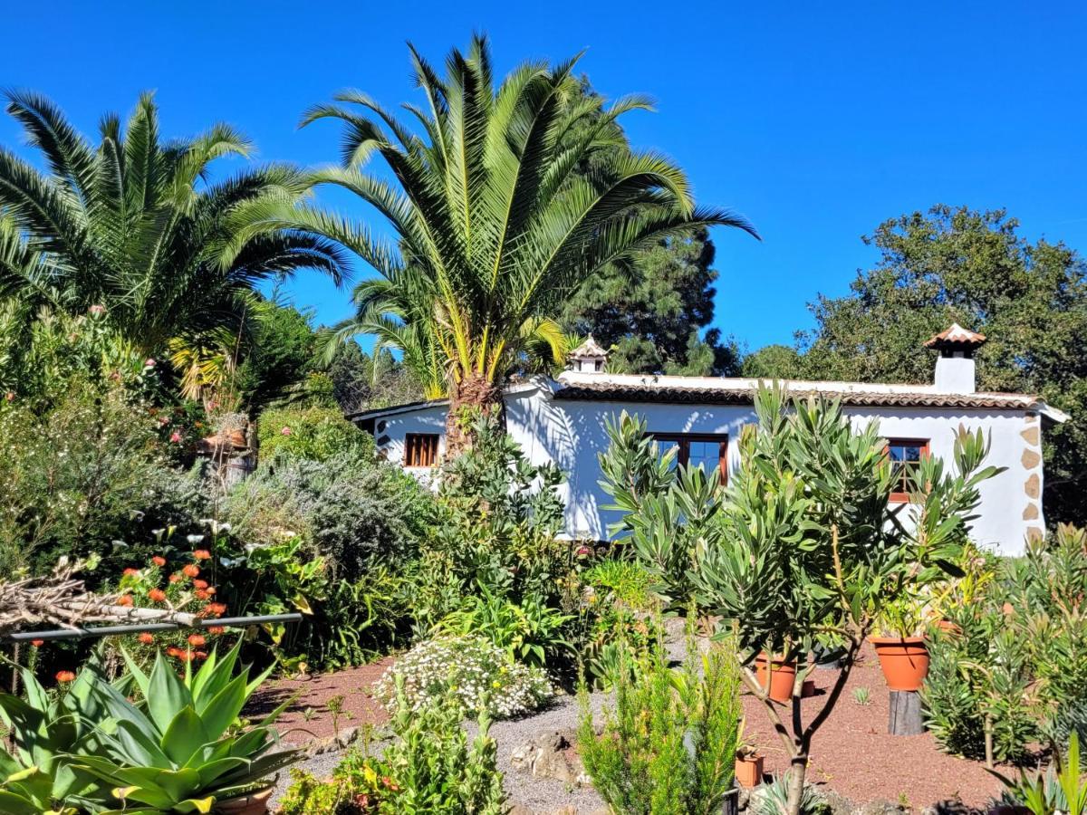 Finca Llano De La Cebolla Икод-де-лос-Винос Экстерьер фото