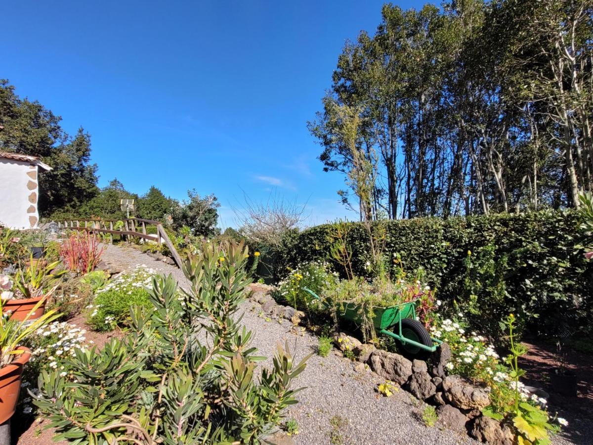 Finca Llano De La Cebolla Икод-де-лос-Винос Экстерьер фото
