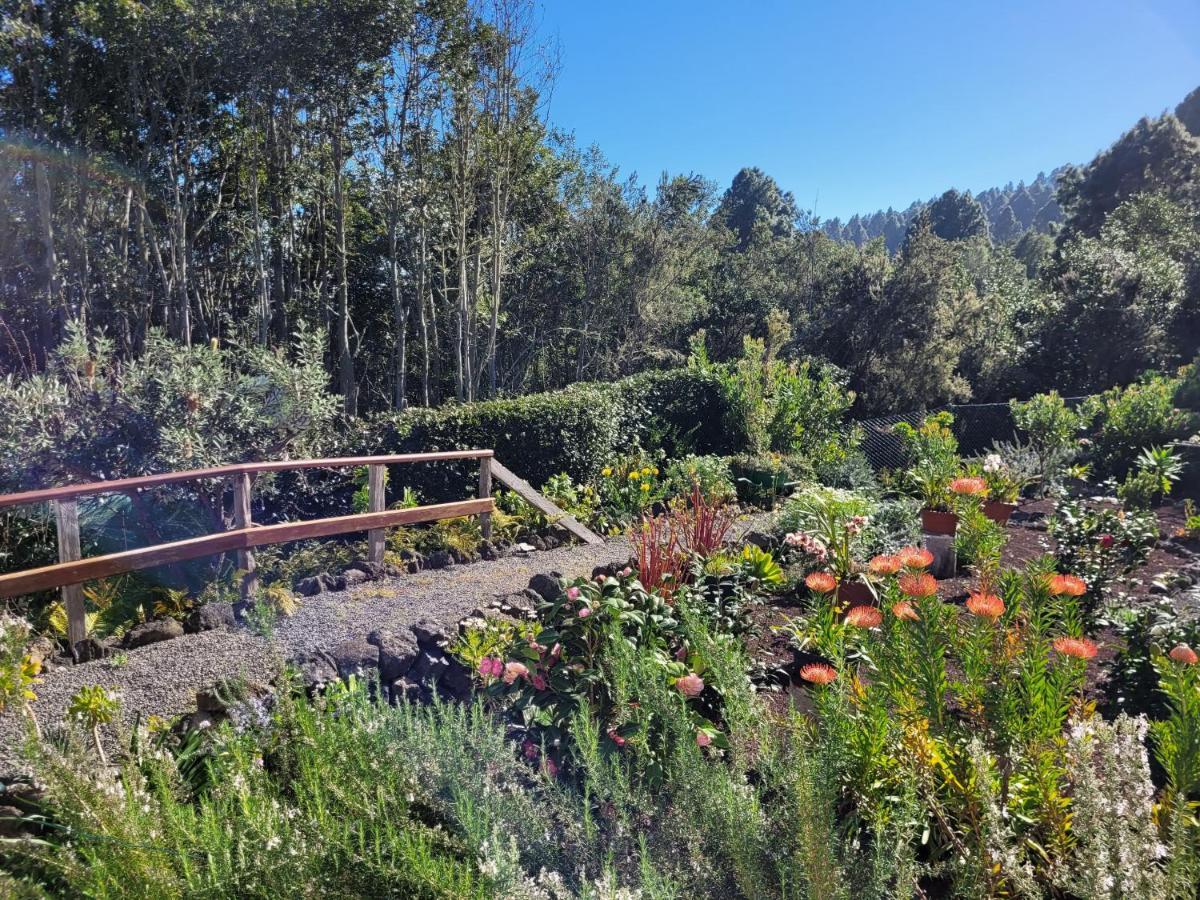 Finca Llano De La Cebolla Икод-де-лос-Винос Экстерьер фото