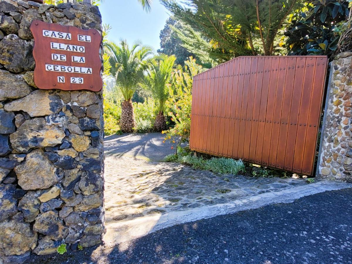 Finca Llano De La Cebolla Икод-де-лос-Винос Экстерьер фото