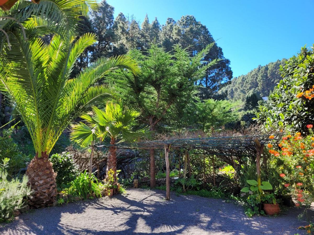 Finca Llano De La Cebolla Икод-де-лос-Винос Экстерьер фото
