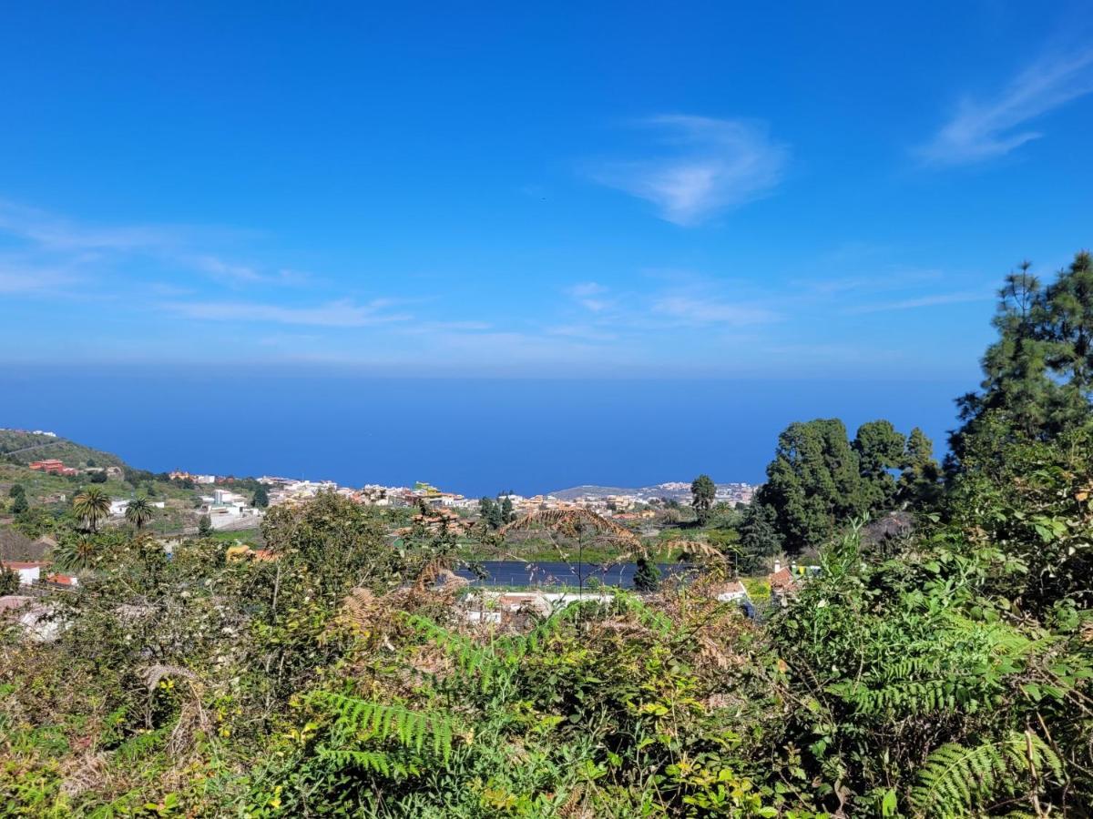 Finca Llano De La Cebolla Икод-де-лос-Винос Экстерьер фото
